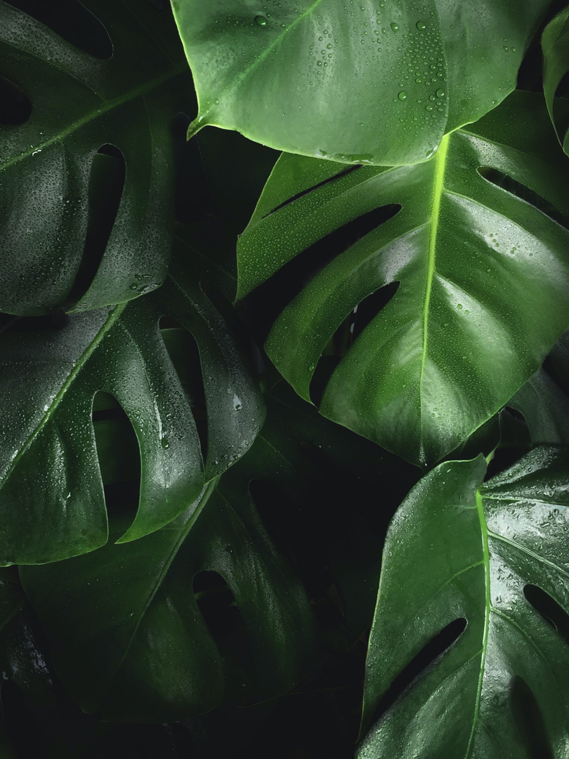 bart-zimny-W5XTTLpk1-I-unsplash